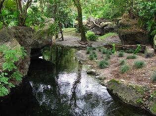 History of the abandoned Disney island