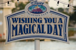 DVC Best Tips