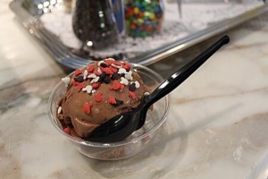 DVC tour ice cream treat