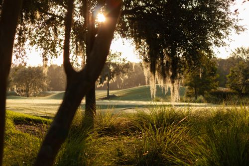 Mystic Dunes Resort Orlando