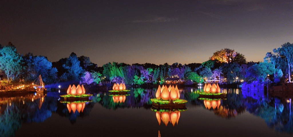 Disney at night