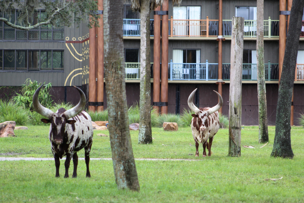 dvc seasons change to travel periods