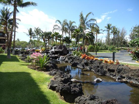 Waikoloa Hilton Timeshares