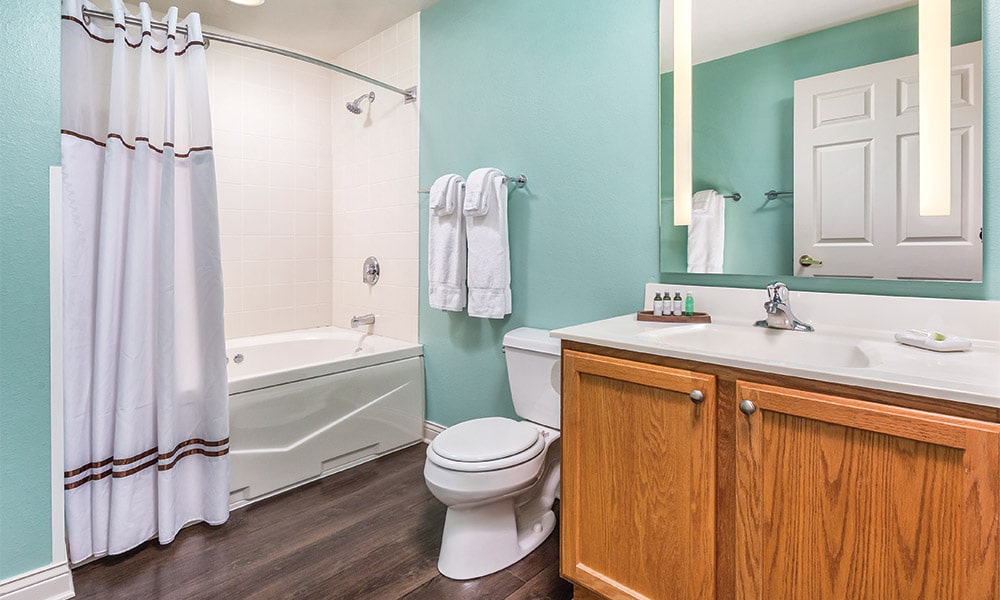 Club Wyndham Tamarack 1 Bedroom Bathroom