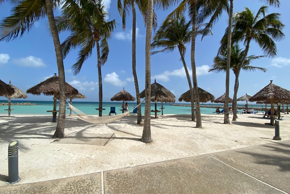 Divi Aruba Phoenix Beach Resort Phoenix Beach