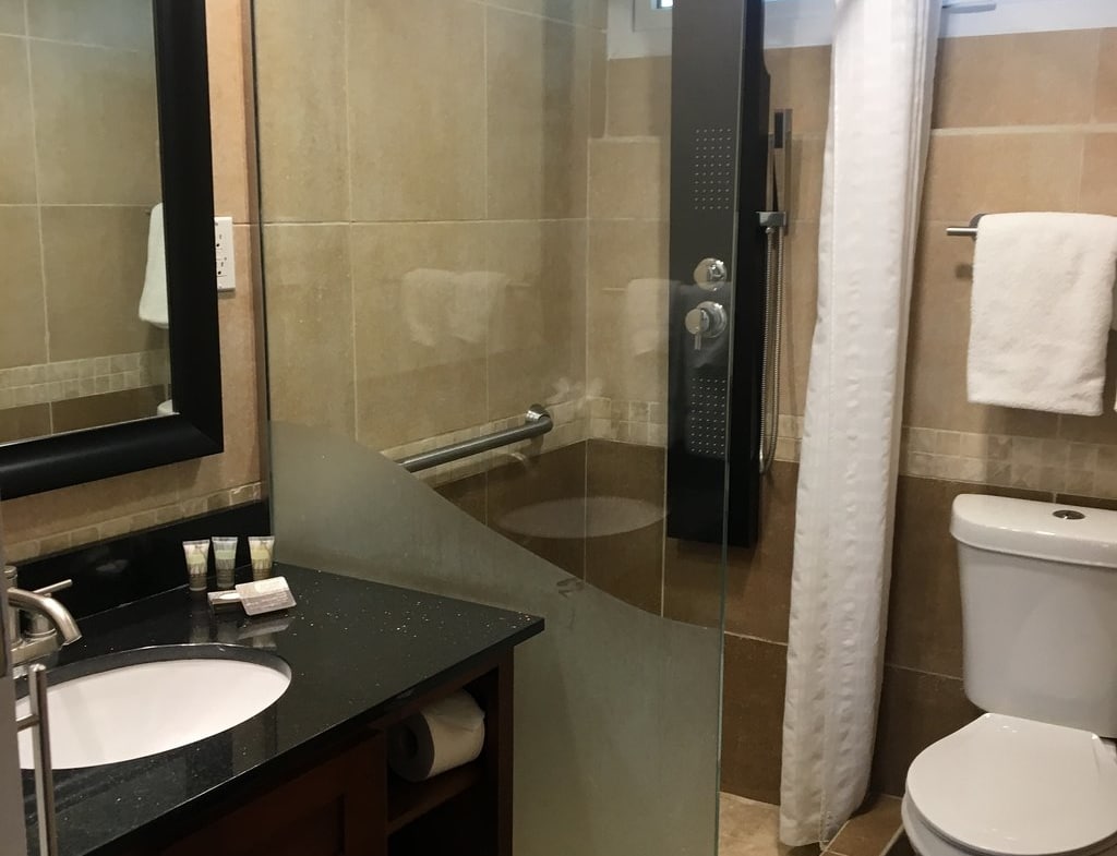 Divi Flamingo Beach Resort and Casino Bathroom