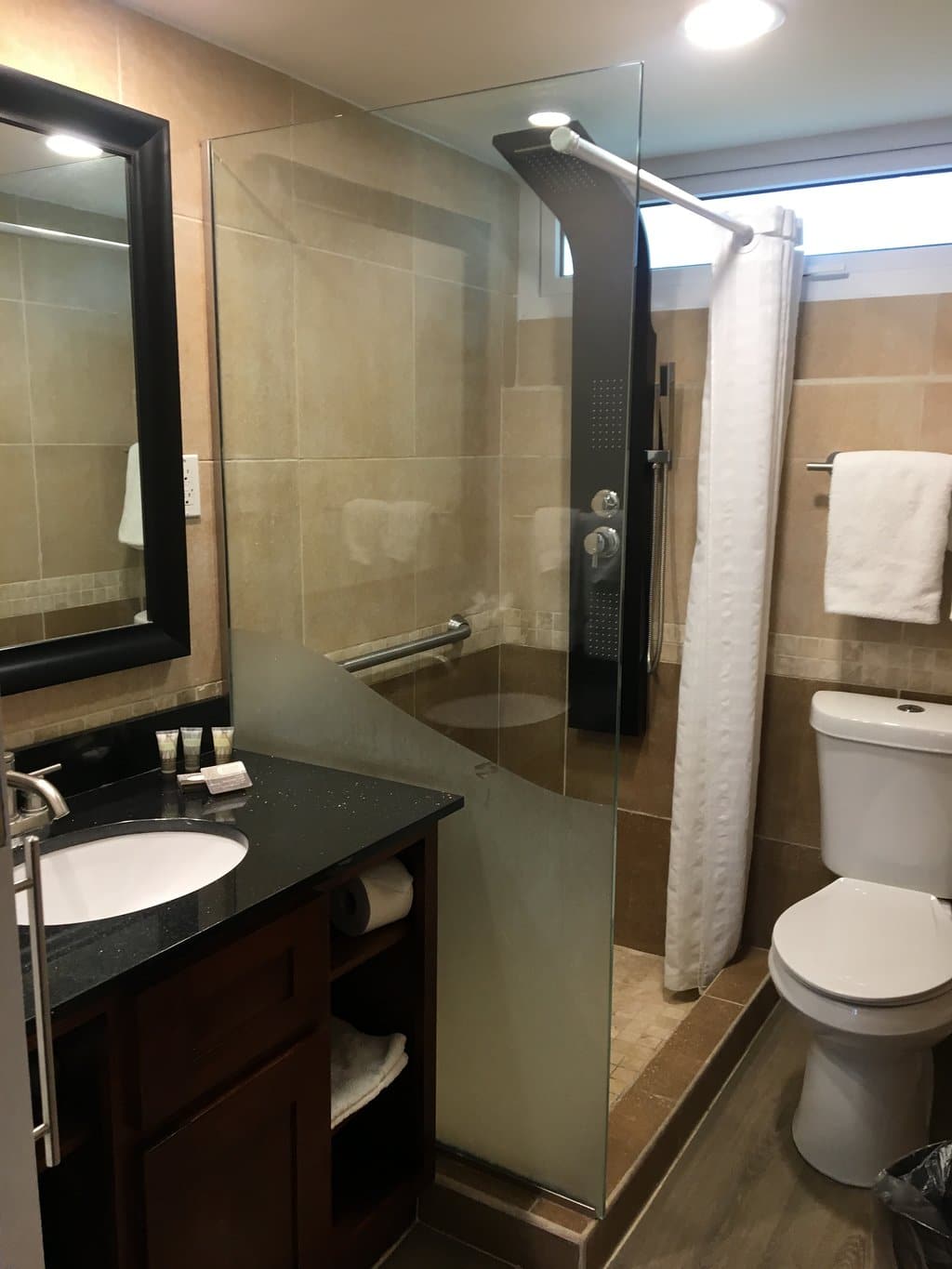 Divi Flamingo Beach Resort and Casino Bathroom