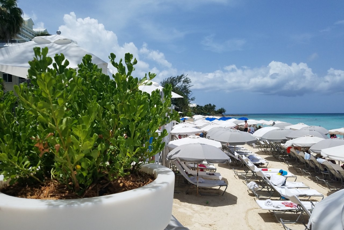 Grand Cayman Marriott Beach Resort Lounge