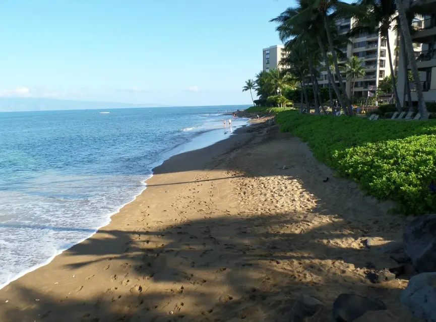 Free Parking Near the Beach