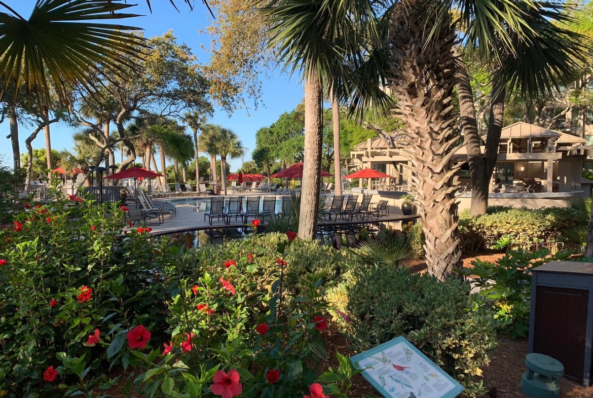 Marriott's Monarch at Sea Pines Pool Area