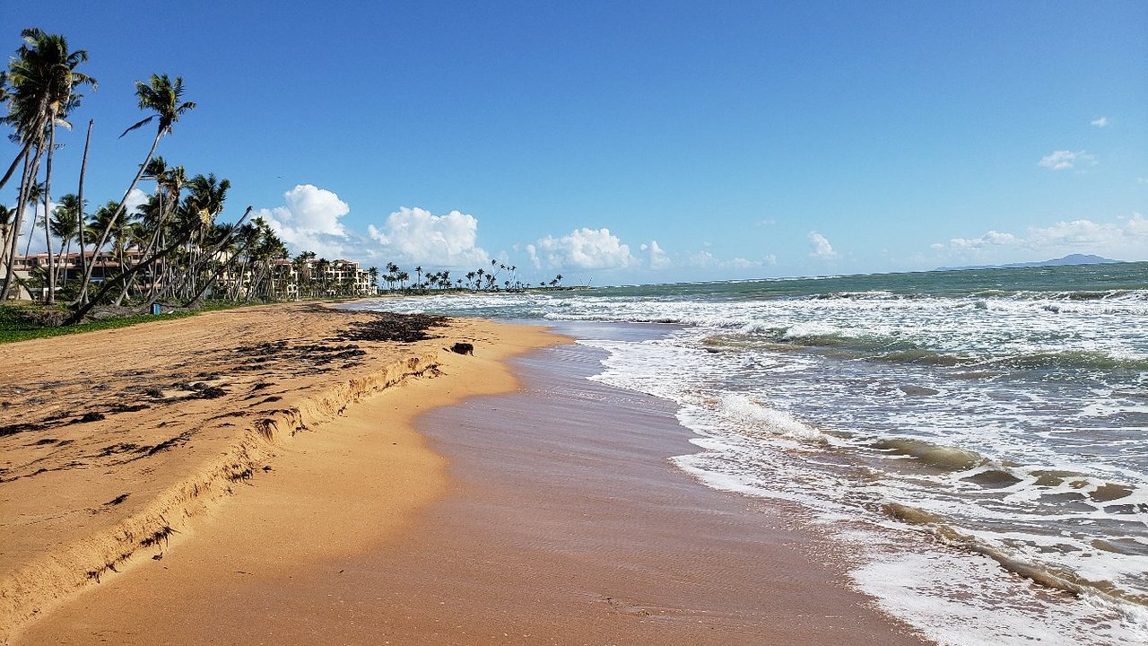 Park Royal Puerto Rico At Club Cala Beach Front