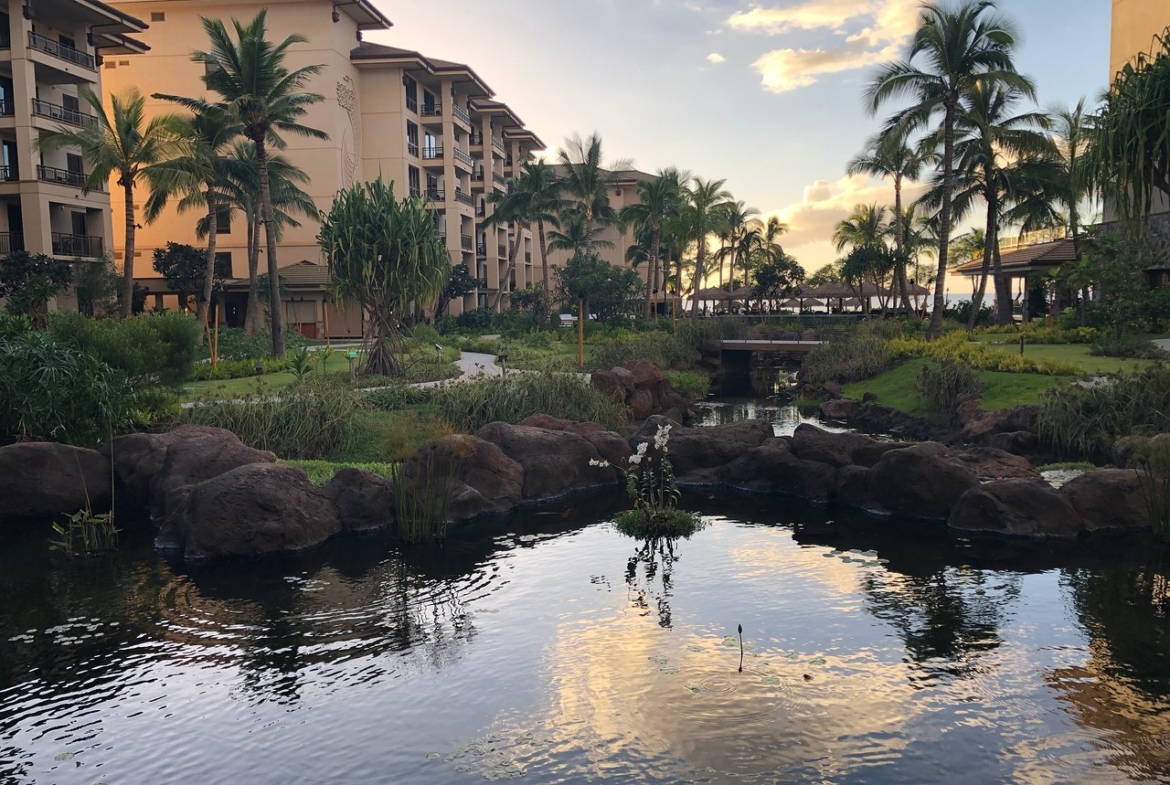 The Westin Nanea Ocean Villas, Ka'anapali