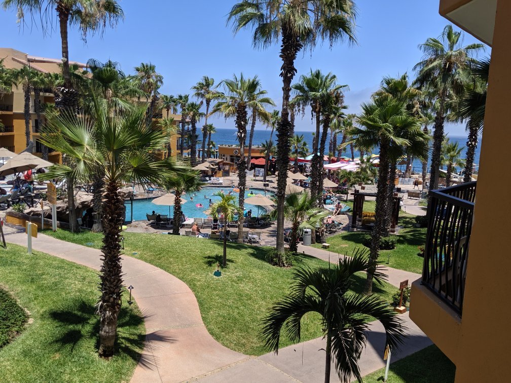 Villa Del Palmar Cabo Pool View