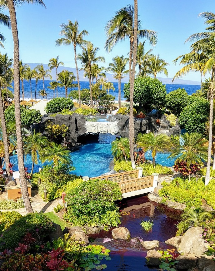 Timeshares for Sale Marriott Maui Ocean Club