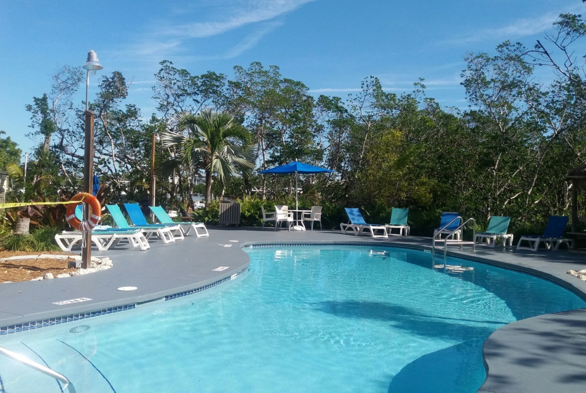 Coconut Mallory Marina and Resort Swim