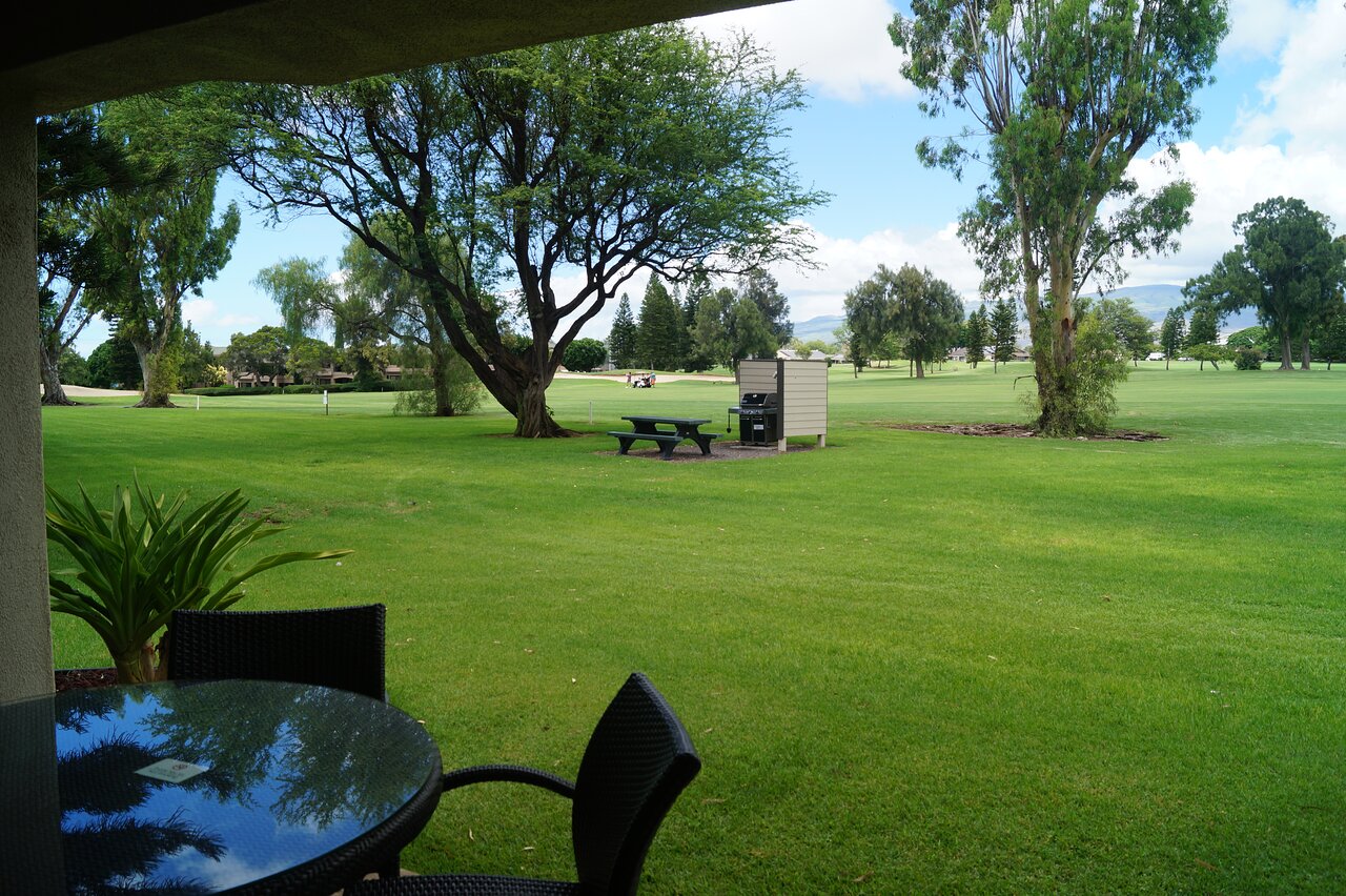 Paniolo Greens Golf Course View