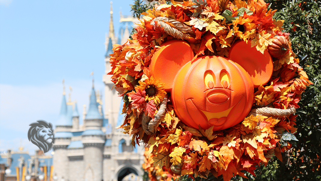 DVC Dues 2020 Updates Members to Receive Excess Dues as Credit