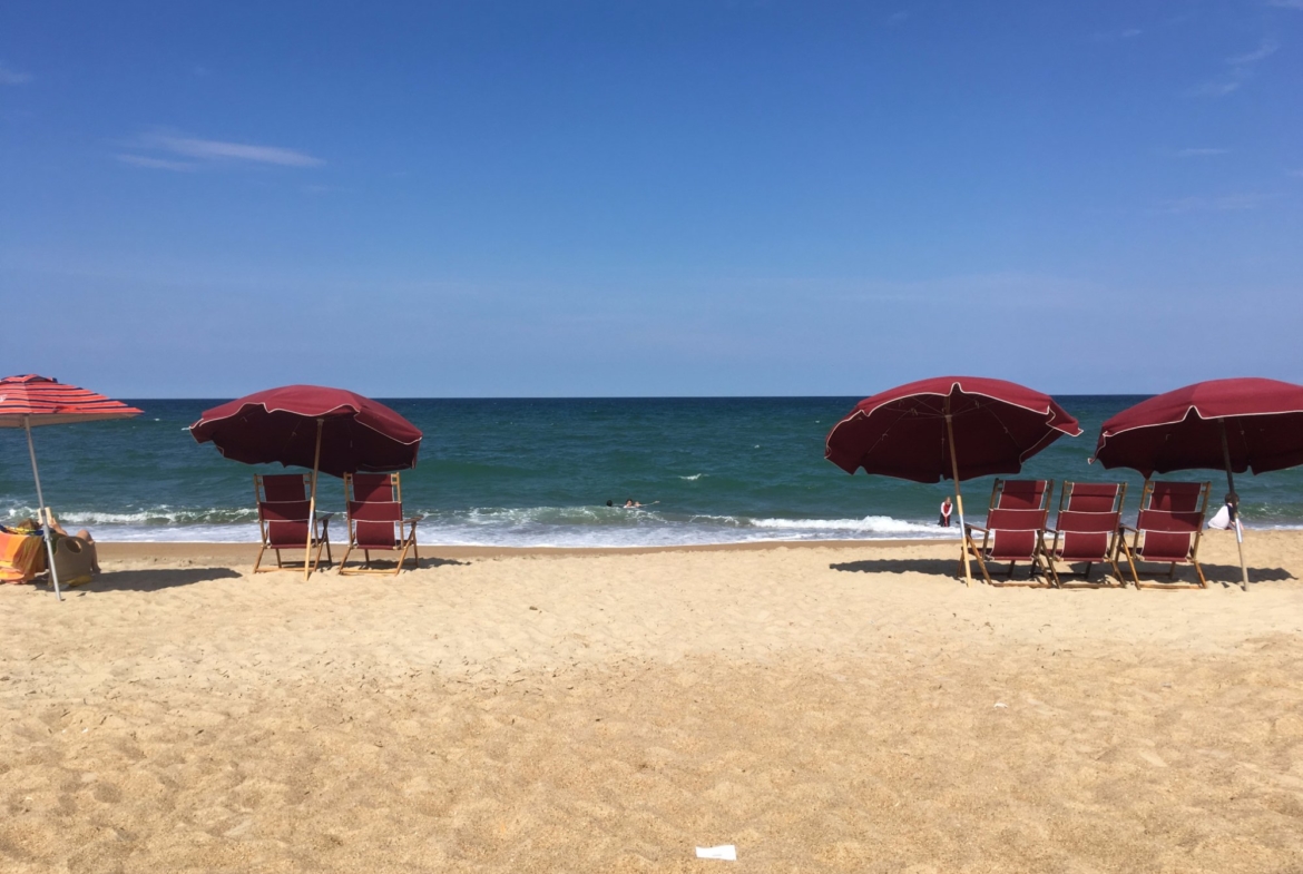 Barrier Island Station Beach Lounge