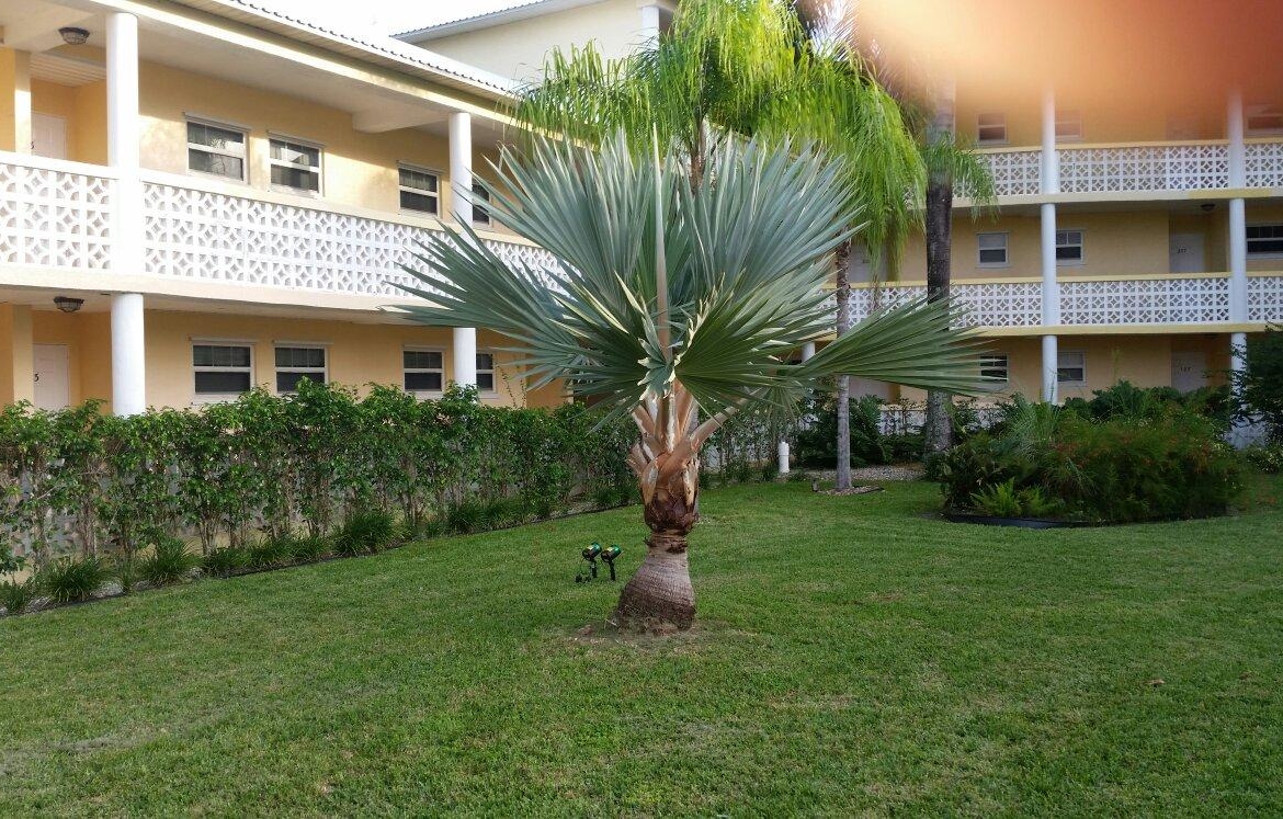 Ocean Reef Yacht Club and Resort Backyard