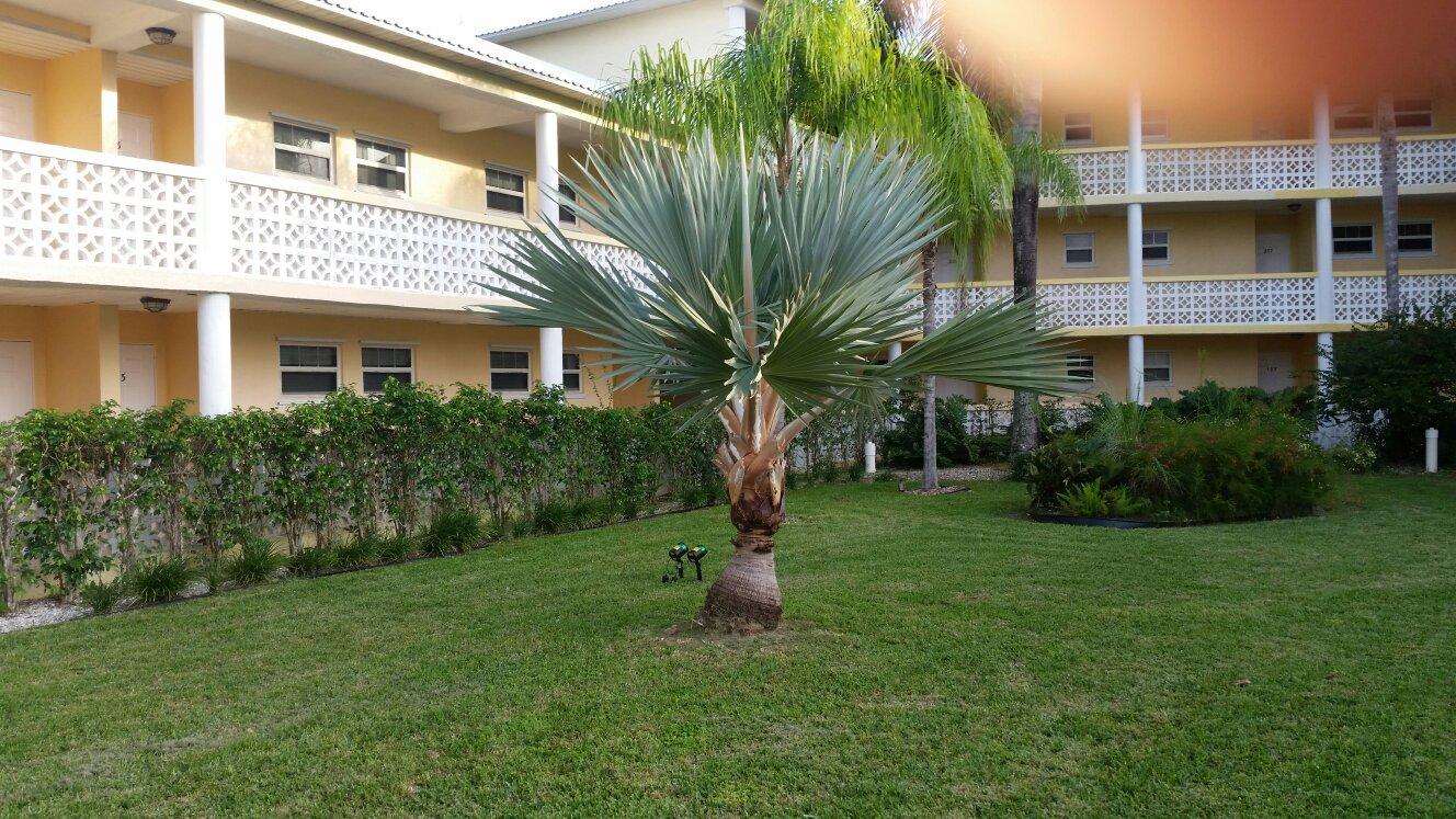 Ocean Reef Yacht Club and Resort Backyard