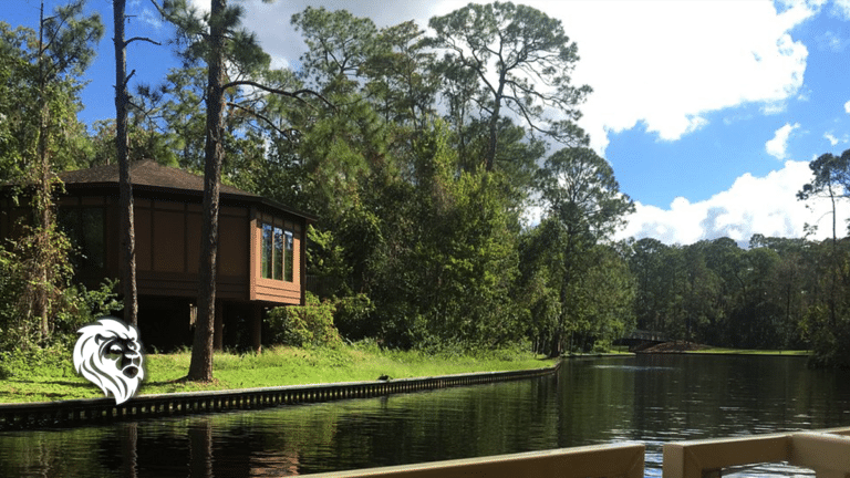 Disney Treehouse Villas