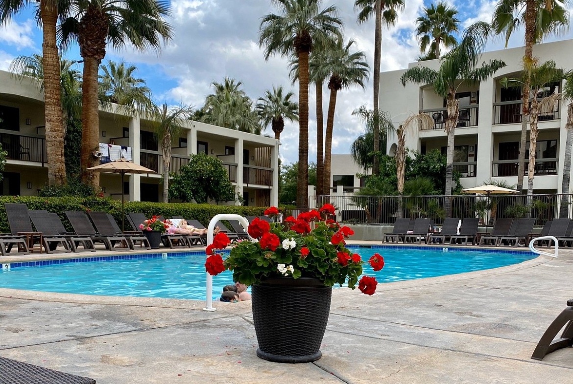 Palm Canyon Resort And Spa Pool 3