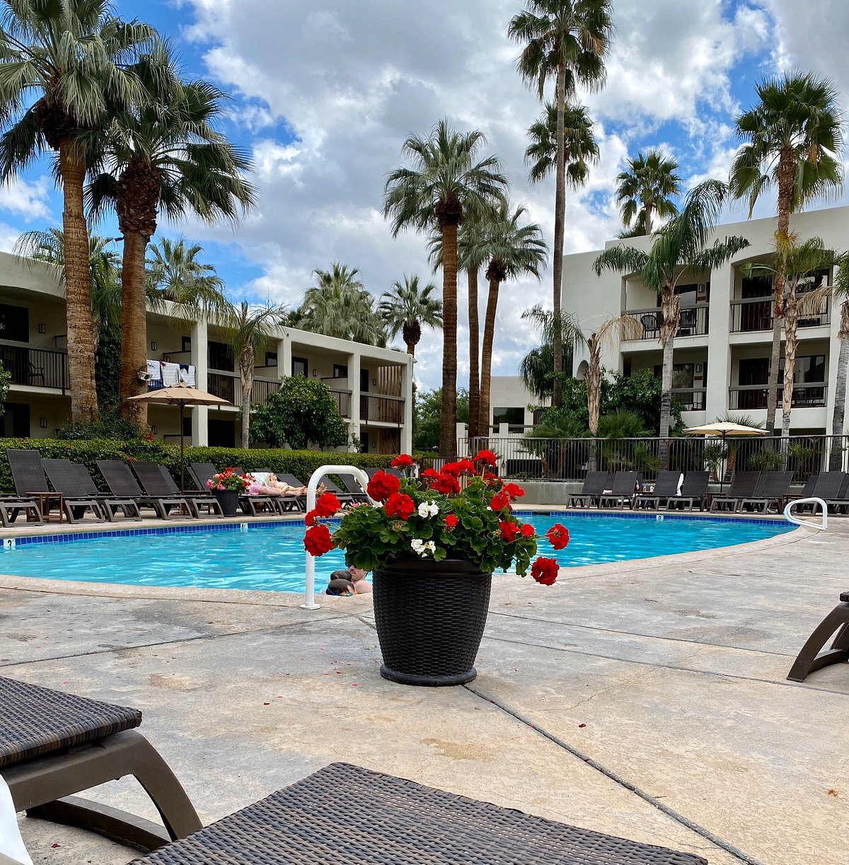 Palm Canyon Resort And Spa Pool 3