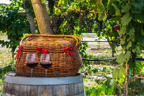Colorado Winery