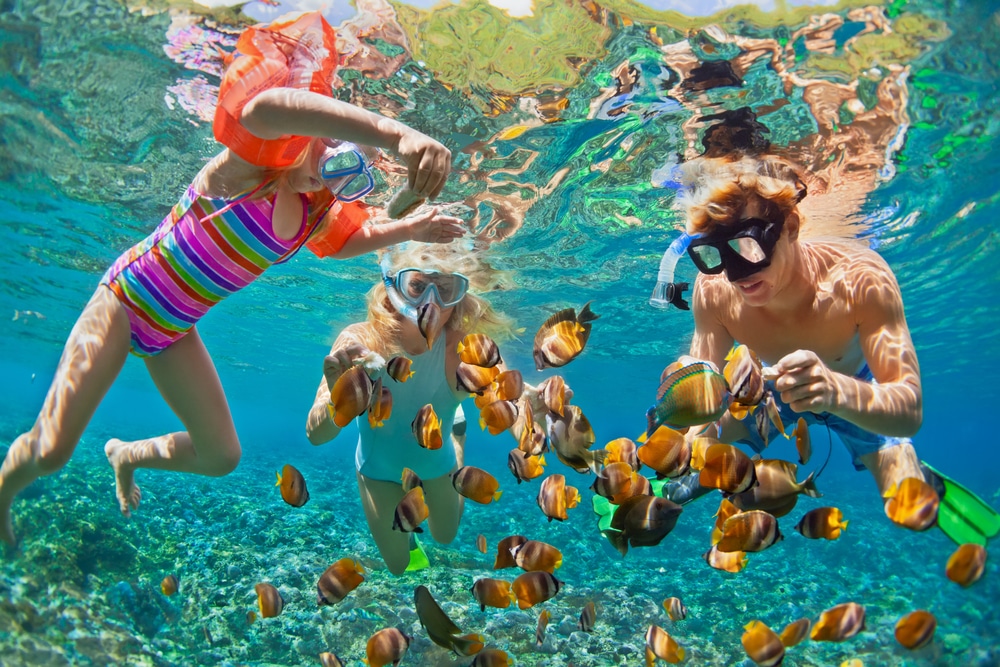 Hawaii Family Snorkeling