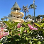 How Does Disney Vacation Club Work?