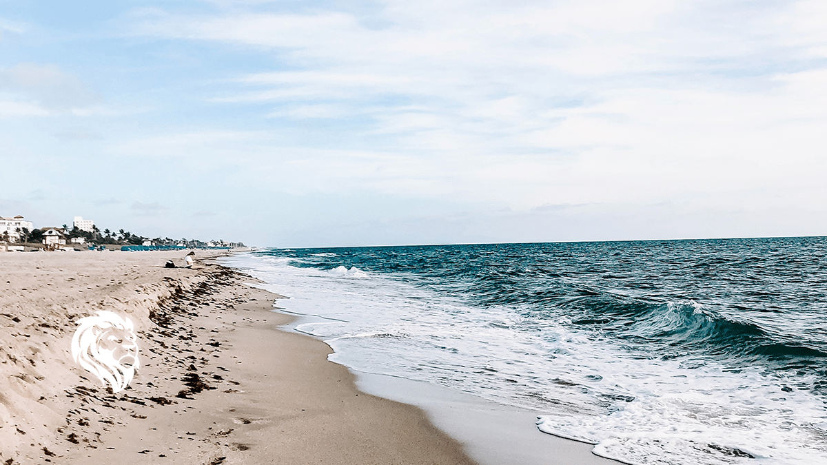 Best Interval International Resorts To Visit Fidelity Real Estate