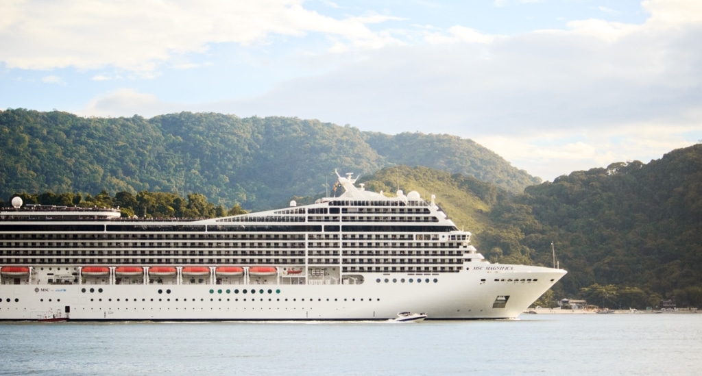 Overview Of Cruise Ship
