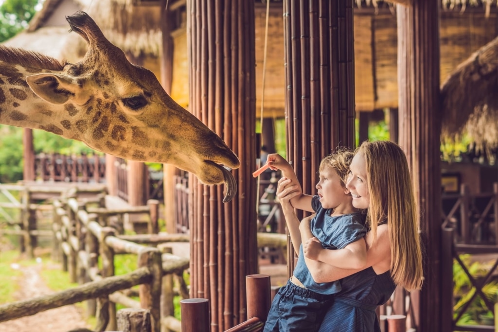 Kids At Palm Springs Zoo