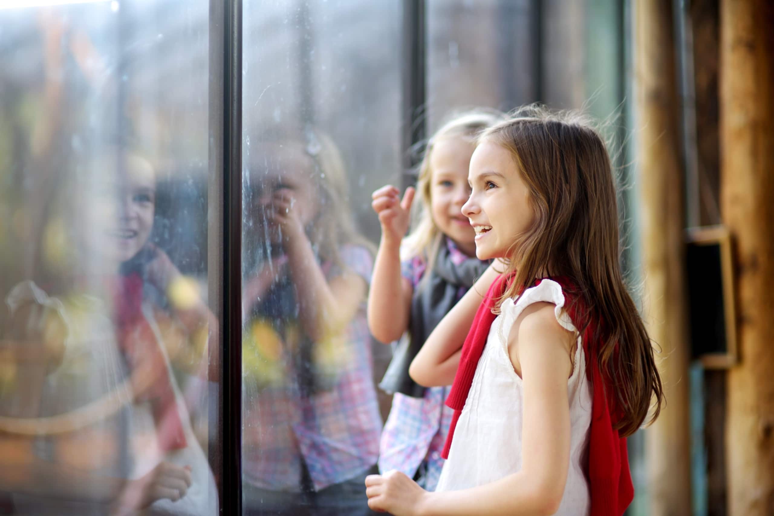Little Girls Looking At Animals In Palm Springs