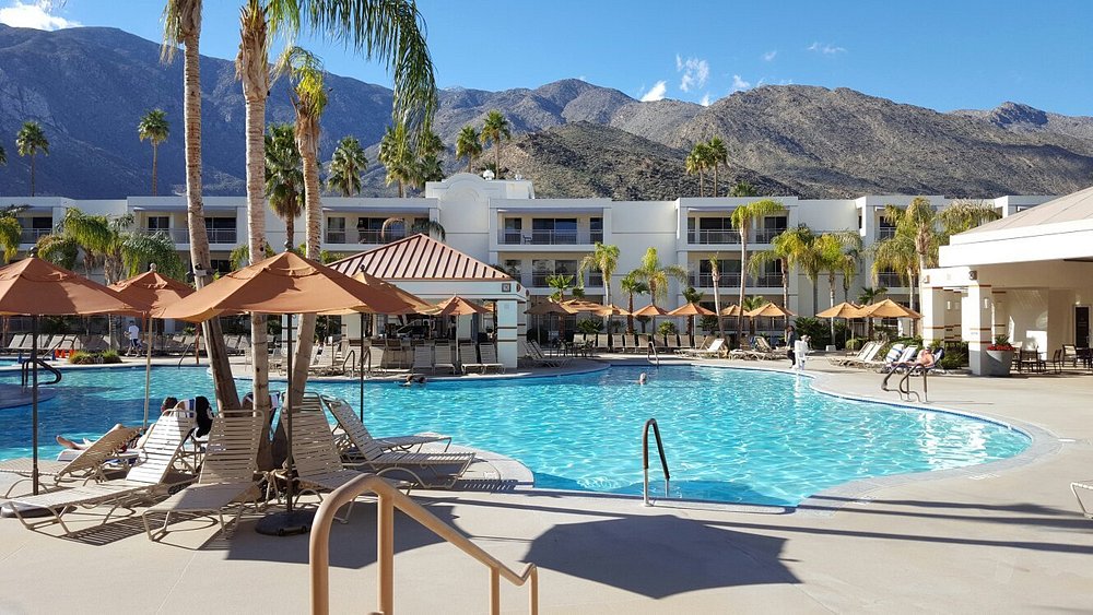 Palm Canyon Resort Pool Overview