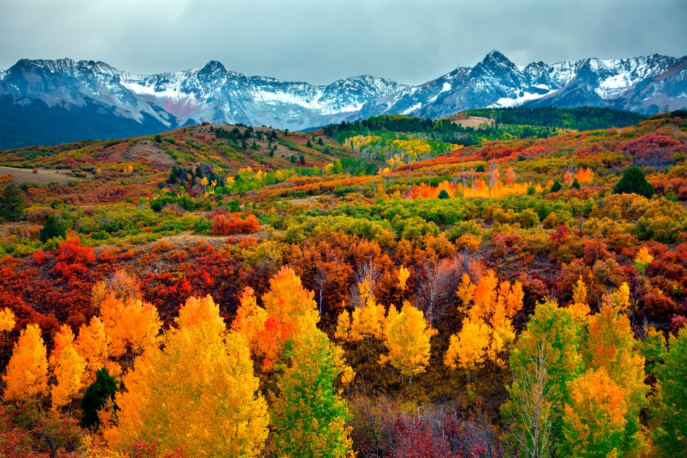 Best Timeshares in Colorado