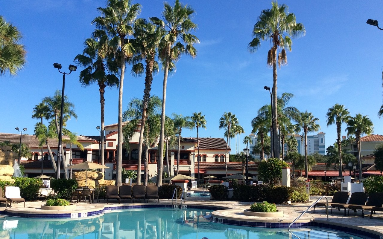 Sheraton Vistana Villages Pool