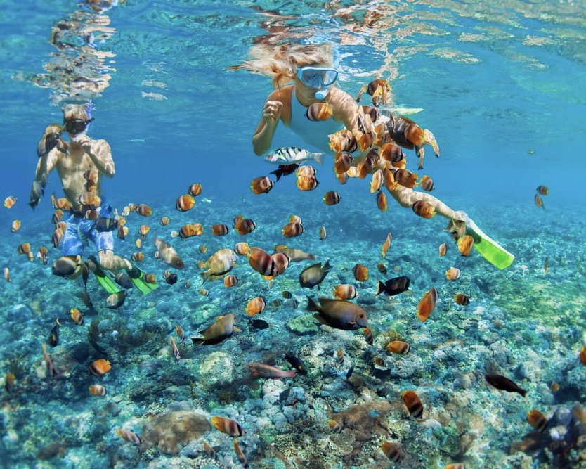 Snorkeling in the Bahamas