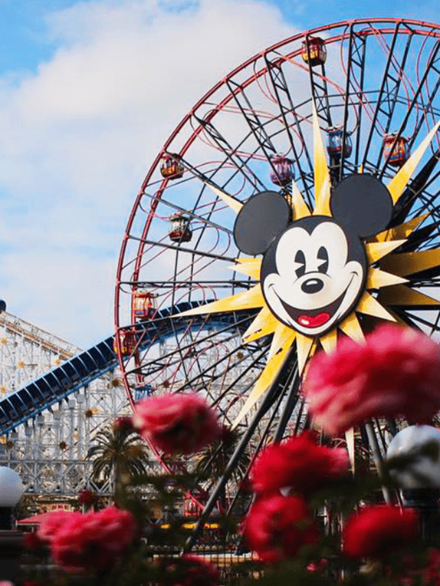 Selling dvc with fidelity fidelity real estate