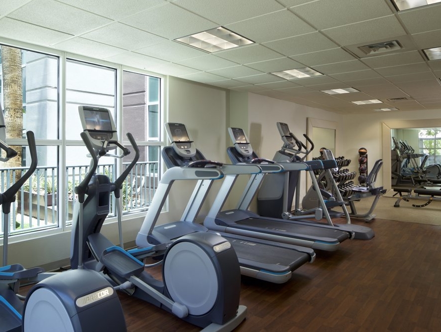 Hilton Grand Vacations at the Flamingo Resort Amenities