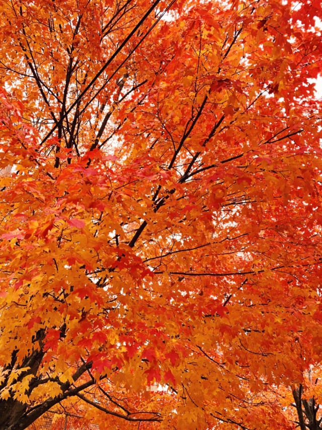 Holloween Destinations