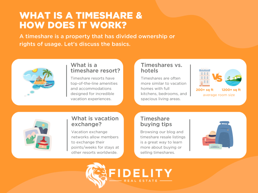 What is a Timeshare and How Does It Work? Infographic