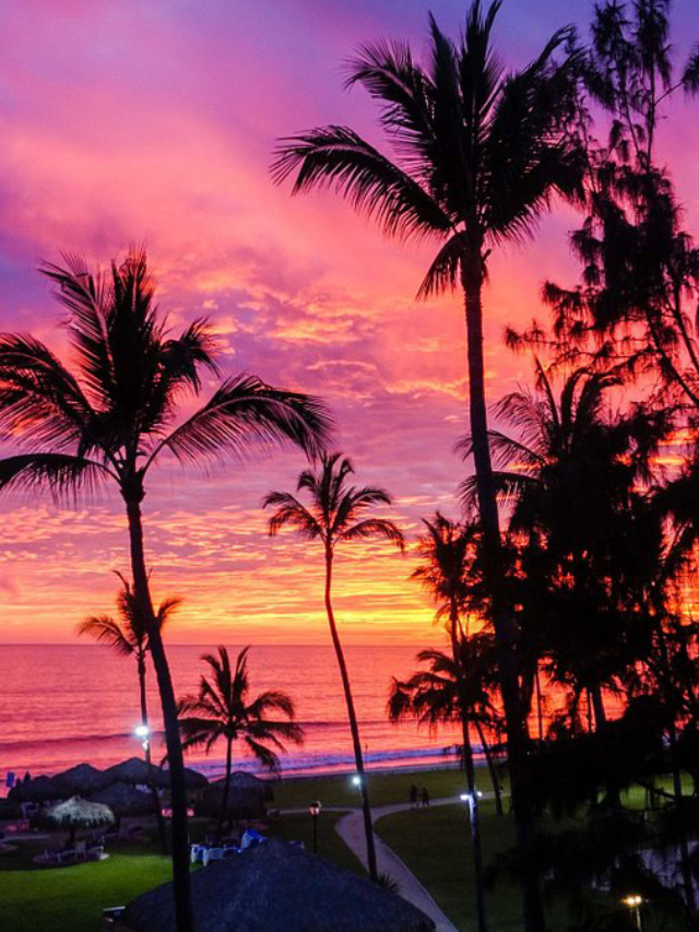 Everything You Need to Know About VI Resorts