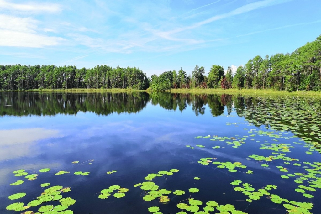 lake hammond