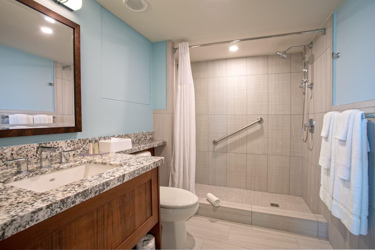 Royal Palm Beach Club- St. Maarten bathroom