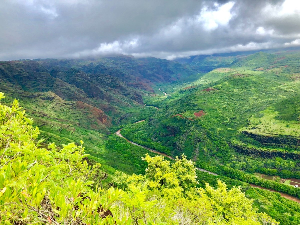 Waimea Canyon