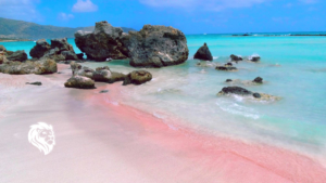 14 Beautiful Pink Sand Beaches to Visit This Year