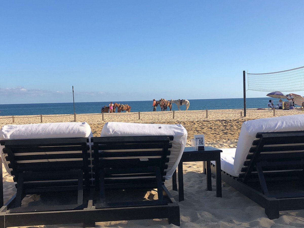 Cabo Azul Resort & Spa Beach