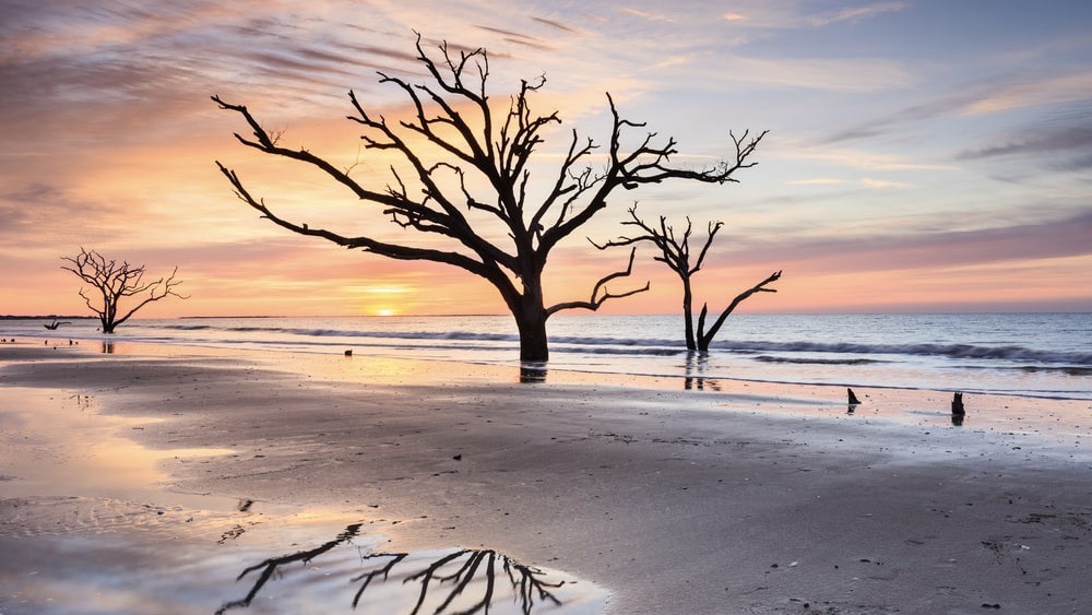 Vast Things to do Nearby in Edisto Beach, SC