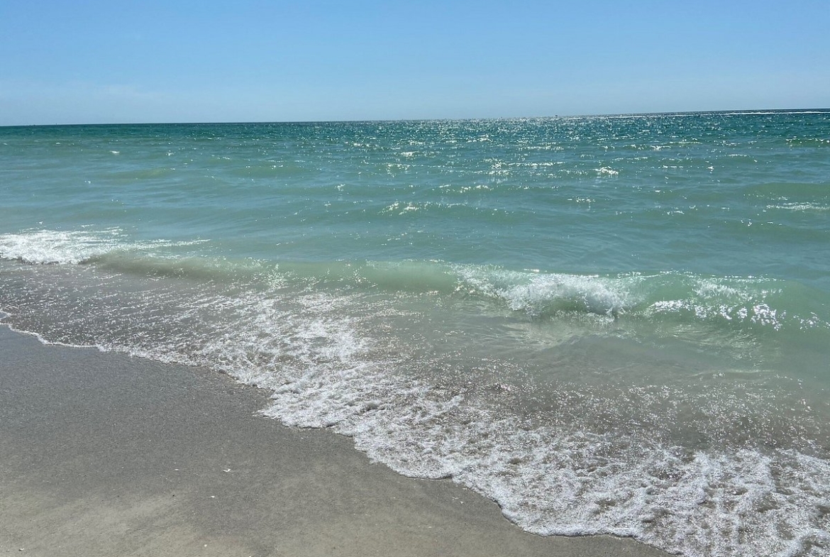 Jamaican on the Gulf Beach